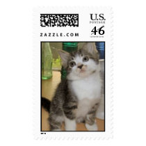Adopt Me! postage