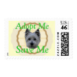 Adopt Me, Save Me (Westie mix) Postage