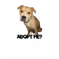 Adopt me tshirt