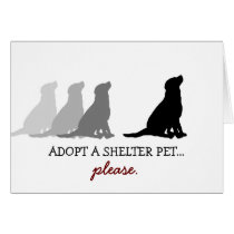 "Adopt... please." cards by TexasSighs "Adopt... please." cards