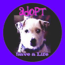 Adopt stickers by dlnewsom61 Adopt stickers