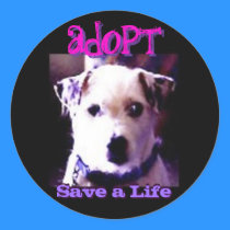 Adopt stickers
