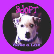 Adopt stickers