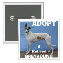 ADOPT (WBD) v.2 Pinback Buttons