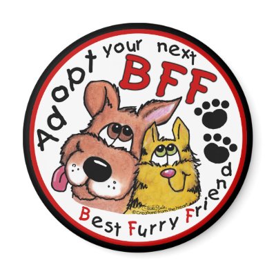 Adopt your next BFF-Animal Rescue Fridge Magnets by creationhrt