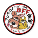 Adopt your next BFF-Animal Rescue magnets