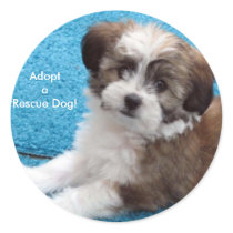 AdoptaRescue Dog! stickers by patsarts AdoptaRescue Dog! stickers