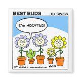 Adopted Cactus Gardening Cartoon Kitchen Magnet magnet