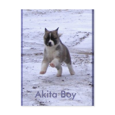 Adopted Dogs Post Card by Petcetera