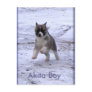 Adopted Dogs Post Card