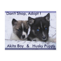 Adopted Dogs postcards by Petcetera Adopted Dogs postcards