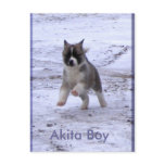 Adopted Dogs postcards