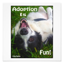 Adoption is Fun! Photo Art