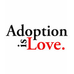 Adoption Is Love Shirt