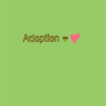 Adoption = Love t-shirts