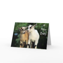 ADOPTION - NO KIDDING CONGRATULATIONS! CARD