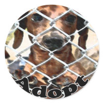 Adoption Sticker stickers