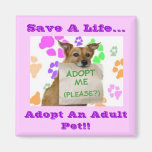 Adoptme, Save A Life..., Adopt An Adult Pet!! Refrigerator Magnet