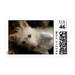 Adorable Alfie the Terrier Postage