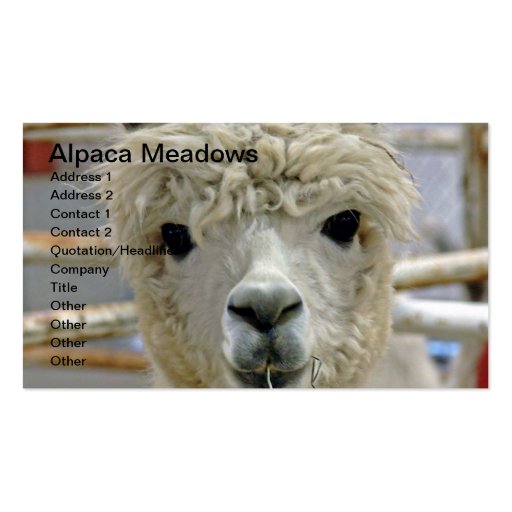 Adorable Alpaca Meadows Business Card Template (front side)