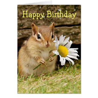 Adorable Baby Chipmunk with Daisy - Happy Birthday Greeting Card