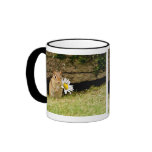 Adorable Baby Chipmunk with Daisy Mug
