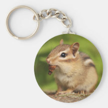Adorable Baby Chipmunk with Snack Keychains