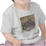 Adorable Baby Mini Lop Tshirts