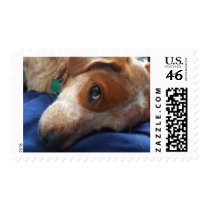 Adorable Beagle Mix postage by MenagerieMayhem Adorable Beagle Mix postage