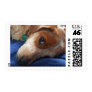 Adorable Beagle Mix Stamps