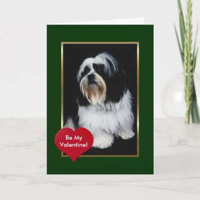 Adorable black and white long haired dog greeting card by mickeyelvis128