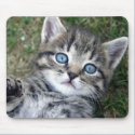 Adorable Blue-Eyed Silver Tabby Kitten Mousepad