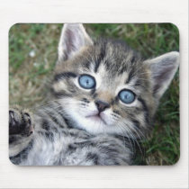 Adorable Blue-Eyed Silver Tabby Kitten Mousepad