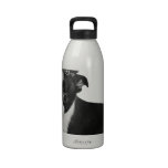 Adorable BOSTON TERRIER Puppy DOG Crown Reusable Water Bottles