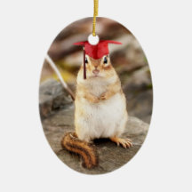 Adorable Chipmunk Graduate oval ornament