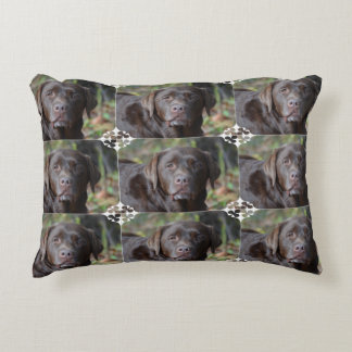 chocolate labrador pillow