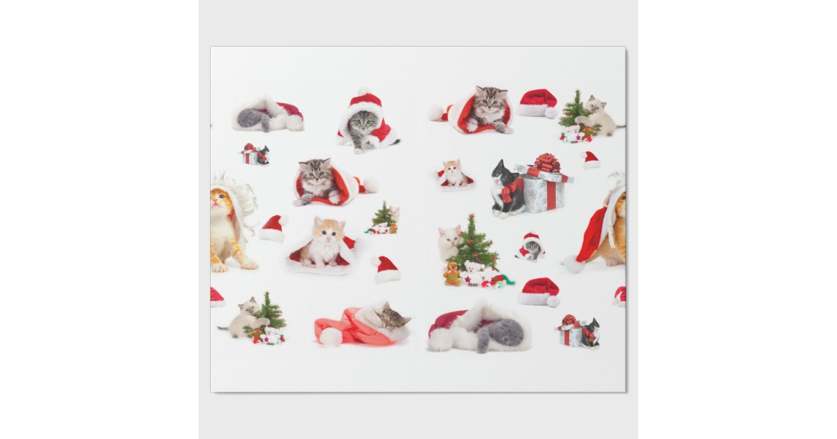 Adorable Christmas Kittens Wrapping Paper Zazzle