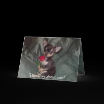 Adorable Cute Baby Chihuahua Merry Rose cards by mickeyelvis128 Adorable Cute Baby Chihuahua Merry Rose cards