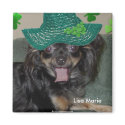 Adorable Cute Lisa Marie Chihuahua magnets by mickeyelvis128 Adorable Cute Lisa Marie Chihuahua magnets