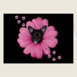Adorable Cute Sly Heaven Chihuahua cards