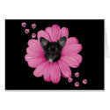 Adorable Cute Sly Heaven Chihuahua cards