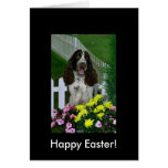 Adorable Cute Springer Spaniel Easter Greeting Cards