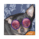 Adorable Cute Suzie Doozie Chihuahua Refrigerator Magnets