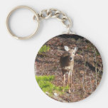Adorable Deer Keychain