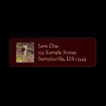 Adorable Deer Return Address Label