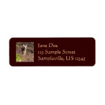 Adorable Deer Return Address Label