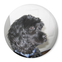 Adorable Dog Magnet