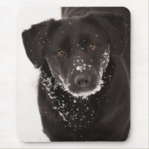 Adorable dog mousepad mousepads