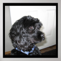 Adorable Dog Profile Poster