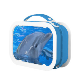 Adorable Dolphin Yubo Lunch Box